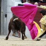 Мэр испанского города отменила корриду из-за кличек быков