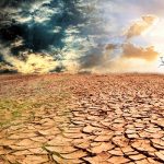 Последствие экологического террора: в Карабахе наблюдается процесс опустынивания