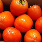 Заработать на «оранжевых помидорах»: нужно уделить внимание переработке плодов хурмы