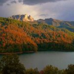 В национальных парках Азербайджана пройдет "день открытых дверей"