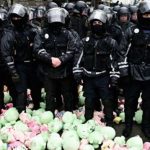 В Киеве администрацию Порошенко забросали плюшевыми свиньями