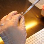ВОЗ прокомментировала приостановку испытаний вакцины AstraZeneca