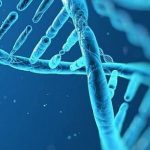 Ученые нашли организм с самым большим на Земле геномом