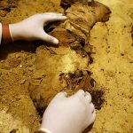 Саркофаг с мумиями возрастом 4 тыс. лет обнаружили в Египте