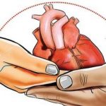 В Азербайджане подготовлен законопроект, разрешающий трансплантацию сердца