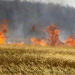 В Венесуэле не менее 12 человек погибли из-за пожара на плантации
