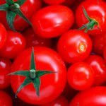 Четырем производителям Азербайджана разрешено экспортировать томаты в Россию