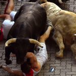 Во время забега быков в Памплоне пострадали пять человек