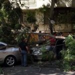 В Баку сильный ветер повалил более 30 деревьев