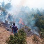 Распространение пожара в Гирканском национальном парке на близлежащие территории удалось предотвратить