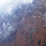 Лесные пожары в Бразилии показали из космоса