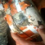 Найден «черный ящик» потерпевшего крушение МиГ-29