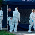 В ФРГ не исключили санкции против РФ в связи с убийством Хангошвили