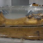 Египетские реставраторы восстановят позолоту саркофага Тутанхамона