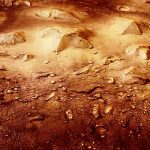 Ученый разглядел насекомых на фото с Марса