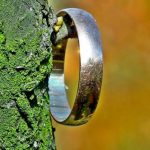 Жительнице США вернули обручальное кольцо, потерянное почти 30 лет назад