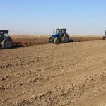 В Азербайджане свыше 270 тыс. фермеров заявило об осенних посевах