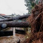 Из-за шторма в Испании и Португалии погибли восемь человек