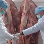 В Сумгайыте уничтожены сотни килограмм непригодной говядины