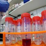Из США в Китай для борьбы с коронавирусом отправляют препараты, не прошедшие проверки