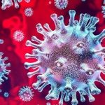 Германия потребовала от Китая объяснить происхождение коронавируса
