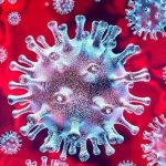 Число смертей от коронавируса превысило 200 тысяч