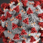 В Испании за сутки 600 человек умерли от коронавируса