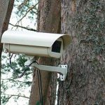 Минэкологии Азербайджана установило в лесах камеры наблюдения