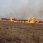 Результат отсутствия знаний: сжигая поля, фермеры наносят почве огромный ущерб