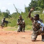 В заповеднике Нигера убиты шесть французских туристов