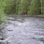 МЭПР: В реках ожидается повышение уровня воды