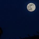 Гигантская Луна укатилась на празднике в Китае