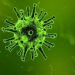 В Китае нашли живой коронавирус на упаковке замороженной трески