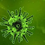 Джонсон: новая мутация коронавируса на 70% заразнее