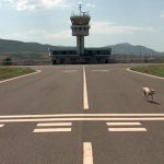 Карабахские бандиты мечтают об открытии аэропорта