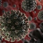 Как Европа намерена бороться с вариантами коронавируса