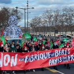 Во Франции прошли манифестации против искусственного оплодотворения