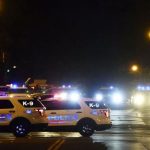 Шесть человек погибли в результате стрельбы в США