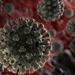 В Грузии коронавирусом заразились еще 396 человек, 19 пациентов умерли