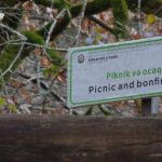 В Гирканском национальном парке пройдет "день открытых дверей"