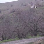 Кадры из села Арыш Физулинского района - ВИДЕО