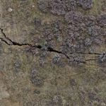 На склоне в Тбилиси образовались трещины глубиной 18 метров