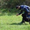Министерство обороны Турции подарило МЧС собак-саперов