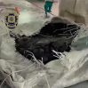 В Испании изъяли 826 кг черного кокаина без запаха
