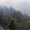 В Турции увеличилось число погибших при тушении лесных пожаров