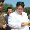 Почти половина населения Северной Кореи голодает