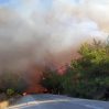 Лесные пожары распространились и на Бодрум