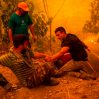 В Греции сгорело 90 тысяч гектаров леса