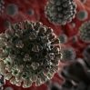 В Республике Беларусь зафиксировали рекордное число заразившихся коронавирусом
