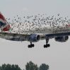 Летевший из Антальи самолёт попал в стаю птиц